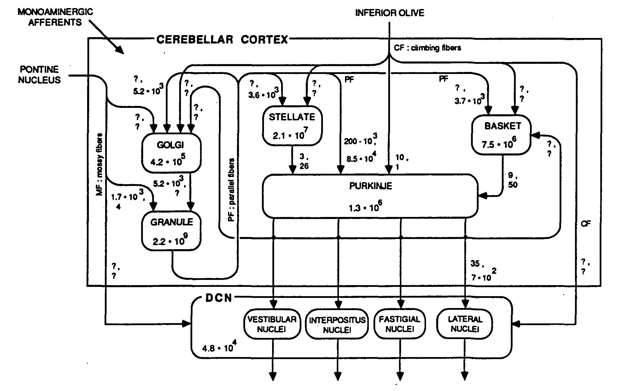 Fig 2. from Loebner, 1989.